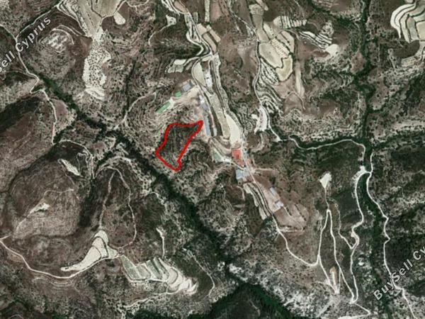 land for sale kallepeia paphos 828569 image 15177717