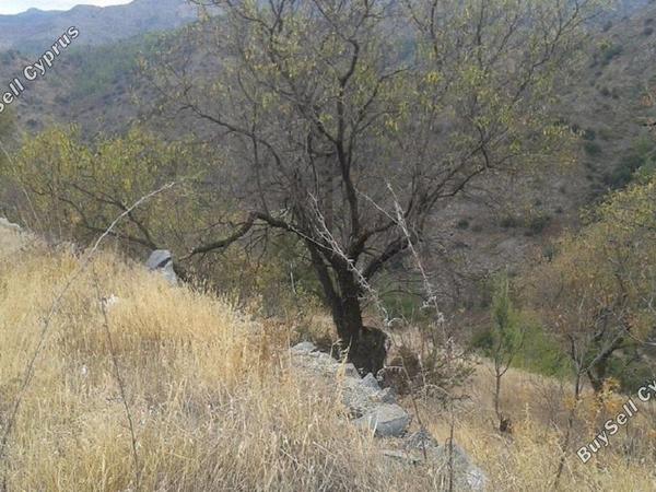 land for sale palaichori oreinis nicosia 829569 image 2826064