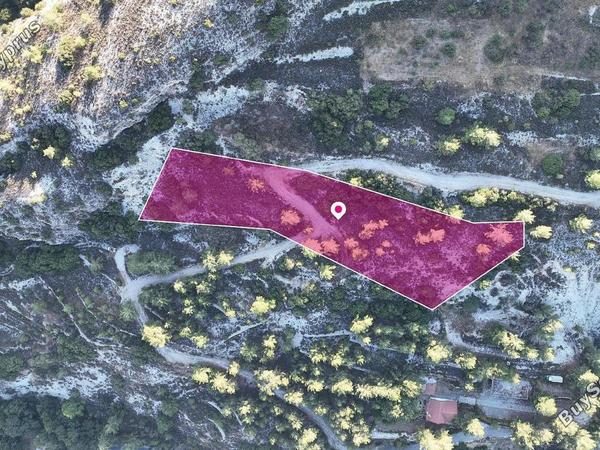 land for sale pera pedi limassol 1237569 image 15020322
