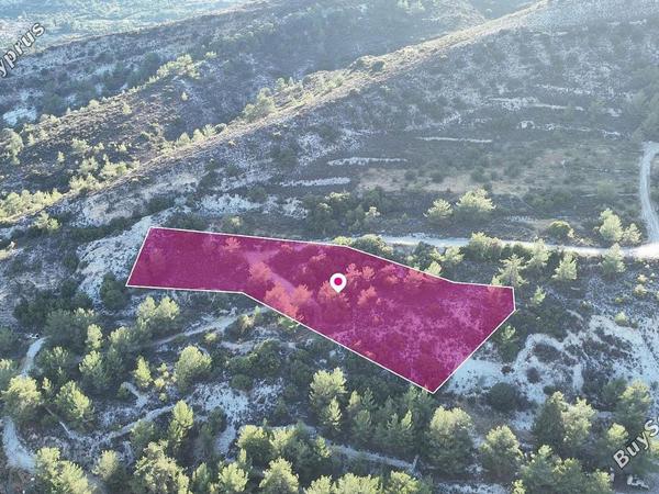 land for sale pera pedi limassol 1237569 image 15020325
