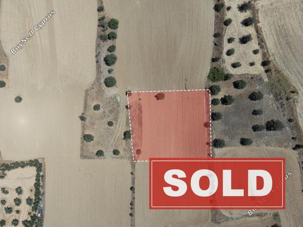 land sold pera orinis nicosia 7908569 image 11145739