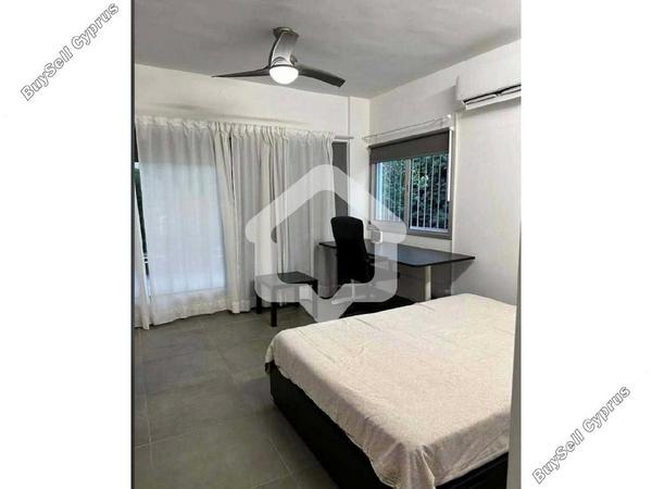 1 bedroom apartment for rent strovolos nicosia 8804669 image 16823203