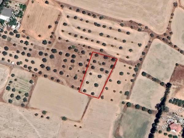 land for sale dali nicosia 829669 image 15664062