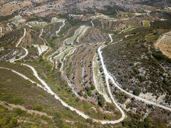 land for sale pachna limassol 8785669 image 16656198