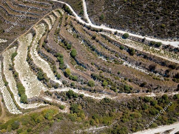 land for sale pachna limassol 8785669 image 16656199