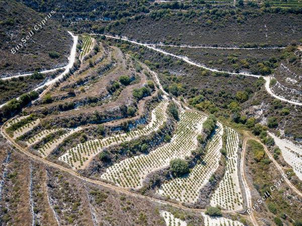 land for sale pachna limassol 8785669 image 16656200