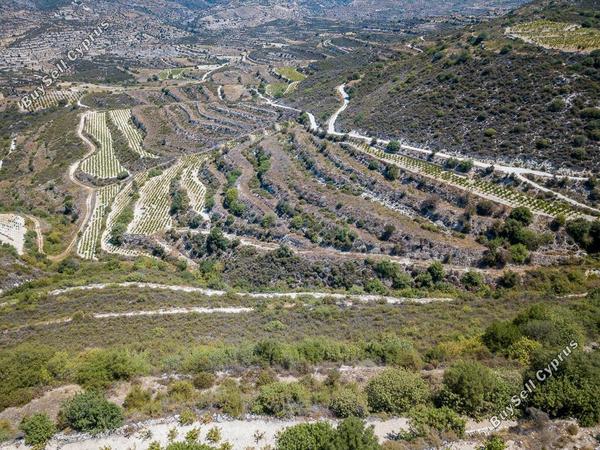 land for sale pachna limassol 8785669 image 16656202
