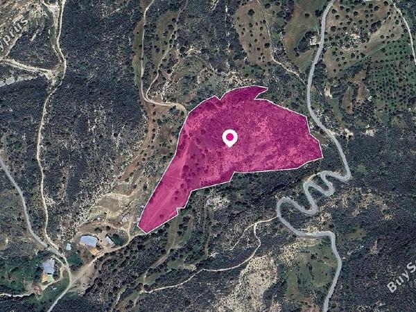land for sale agios isidoros paphos 1897769 image 14208378