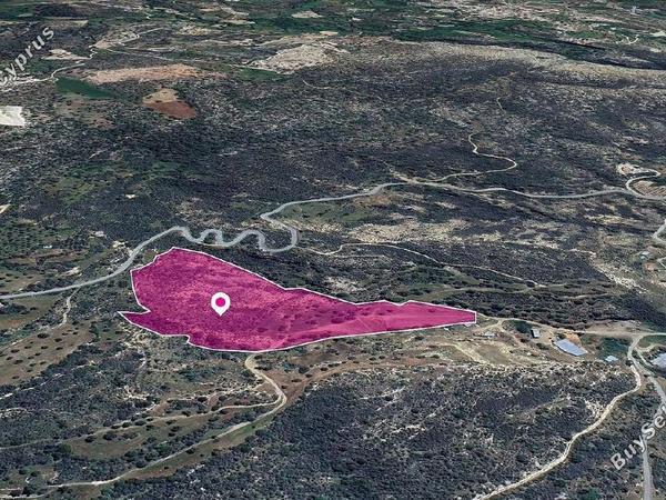 land for sale agios isidoros paphos 1897769 image 14208380