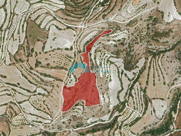 land for sale amargeti paphos 7649769 image 16015556