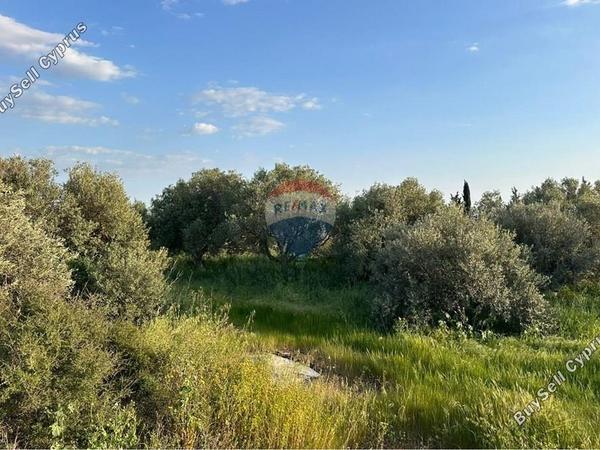 land for sale anarita paphos 8537769 image 15496702