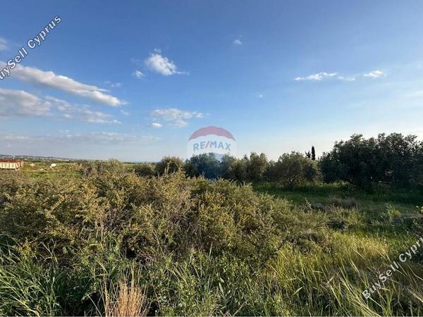 land for sale anarita paphos 8537769 image 15496703