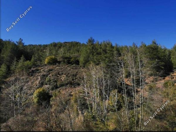 land for sale kaminaria limassol 945769 image 15602254