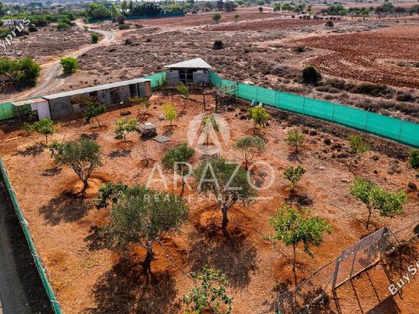 land for sale paralimni famagusta 7822769 image 15822417