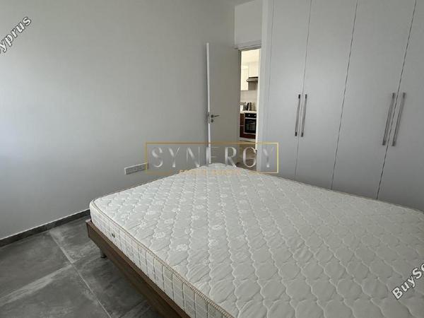 1 bedroom apartment for rent makedonitissa nicosia 8417869 image 14951716