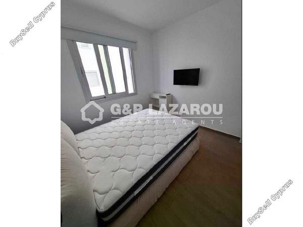 1 bedroom apartment for rent strovolos nicosia 8311869 image 16335468