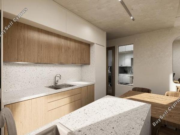 3 bedroom detached house for sale souni zanakia limassol 1841869 image 14496236