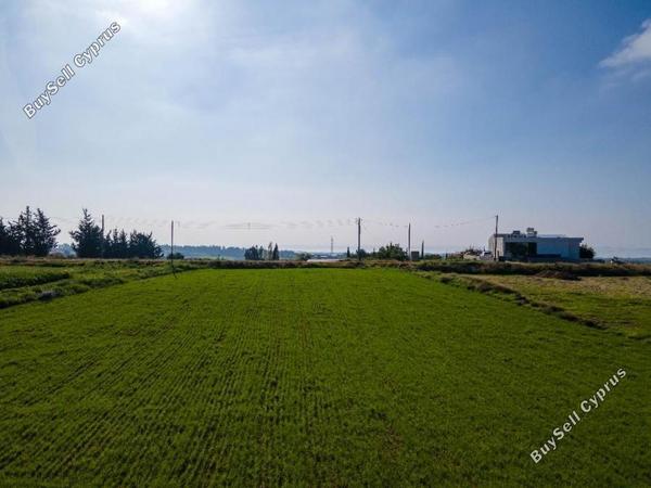 land for sale anarita paphos 1354869 image 5611385