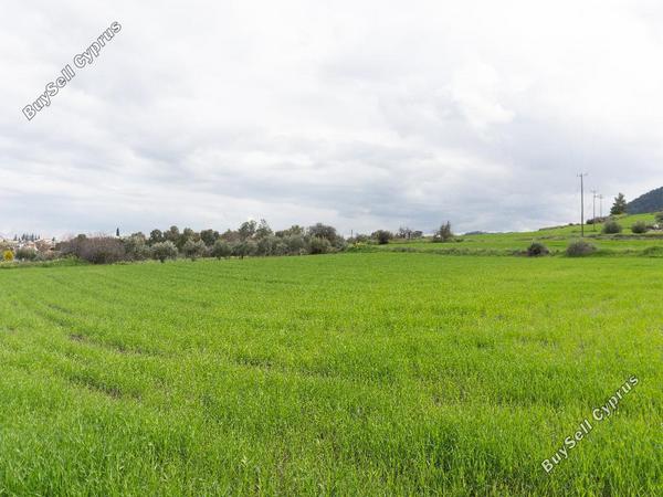 land for sale klirou nicosia 1262869 image 15599338