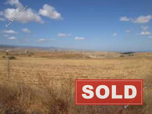 land sold orounta nicosia 1084869 image 3511896