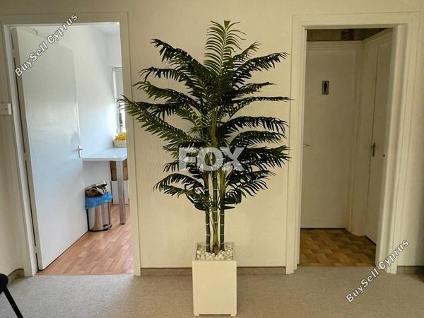 studio office for rent agia zoni limassol 1427869 image 5615280