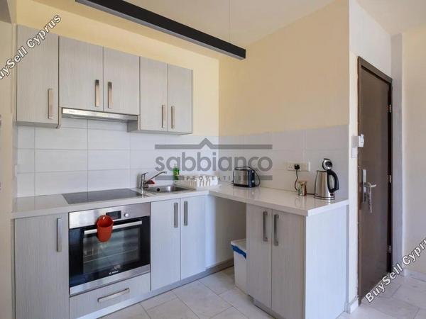 1 bedroom apartment for sale poli chrysochous paphos 8748969 image 16470221