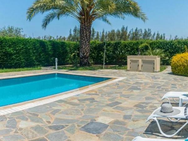 3 bedroom detached house for rent poli chrysochous paphos 8512969 image 16176444