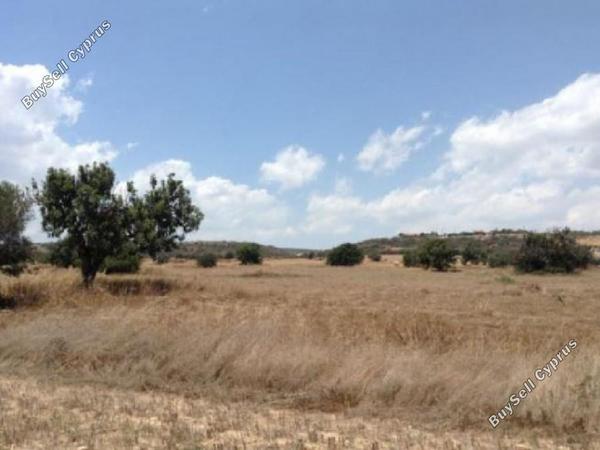 land for sale agios theodoros larnacas larnaca 7738969 image 12567094