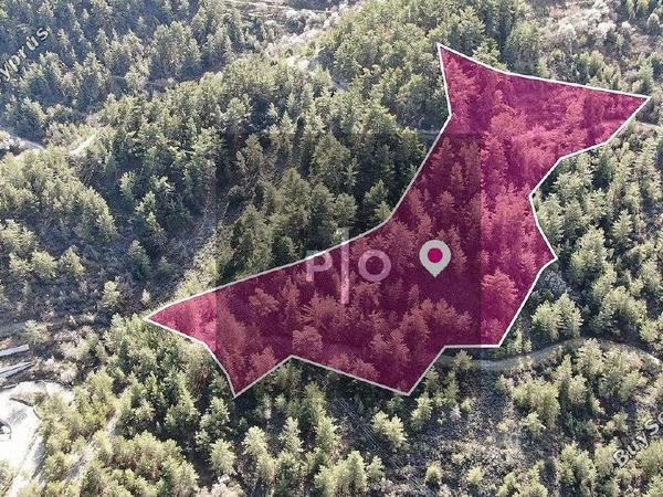 land for sale lagoudera nicosia 8274969 image 15156615
