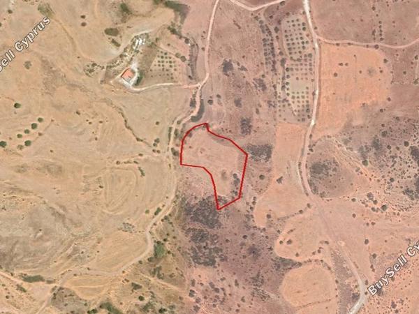 land for sale nata paphos 834969 image 10919579