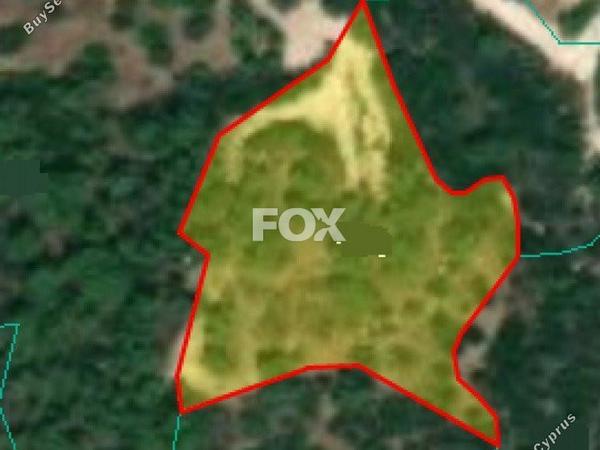 land for sale neo chorio paphos 1158969 image 5513112