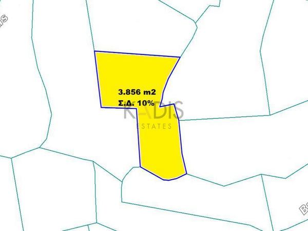 land for sale pera chorio nisou nicosia 8791969 image 16689734