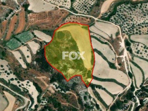 land for sale theletra paphos 1159969 image 5534641
