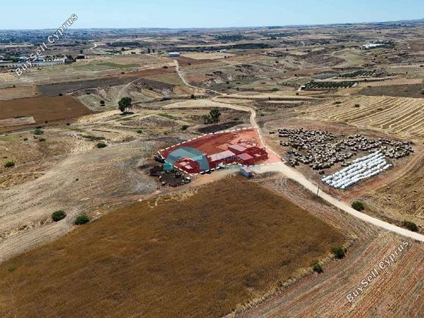 studio warehouse for sale palaiometocho nicosia 8907969 image 17396154