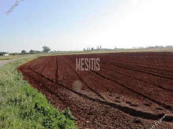 land for sale avgorou famagusta 8834079 image 17016593