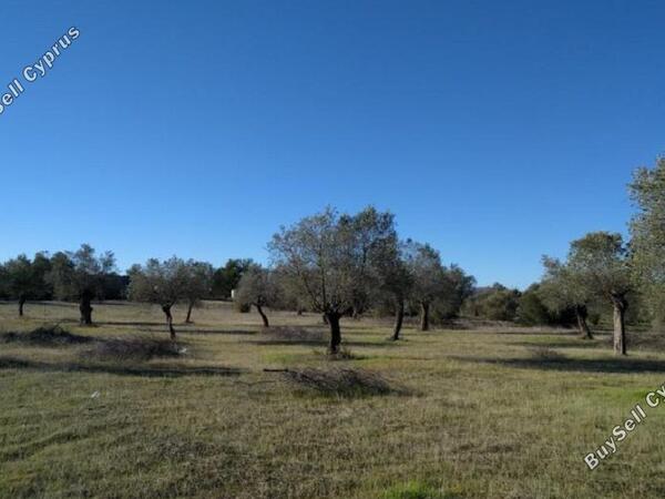 land for sale kornos larnaca 831079 image 1056877