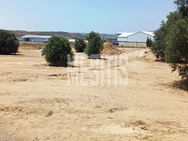 studio warehouse for sale tseri nicosia 975079 image 11037275