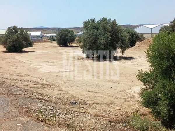 studio warehouse for sale tseri nicosia 975079 image 11037276