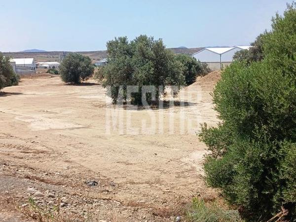 studio warehouse for sale tseri nicosia 975079 image 11037277