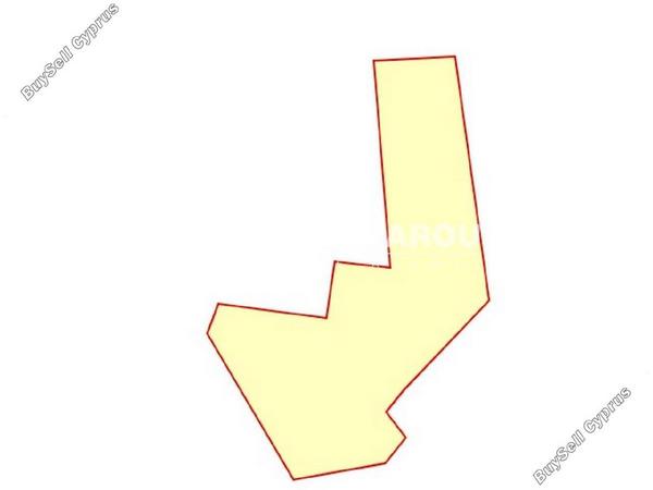 land for sale mazotos larnaca 1688179 image 6015156