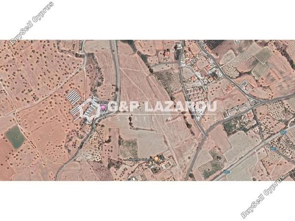 land for sale mazotos larnaca 1688179 image 6015162