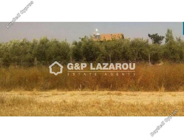land for sale mazotos larnaca 1688179 image 6015168