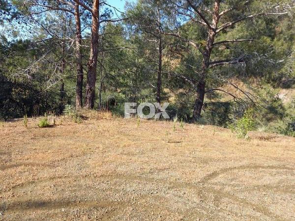 plot for sale moniatis limassol 7452179 image 11146317