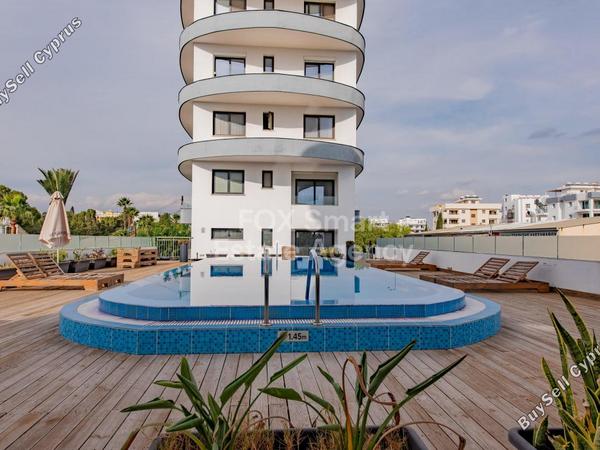 1 bedroom apartment for rent mackenzie larnaca 8804279 image 16781723