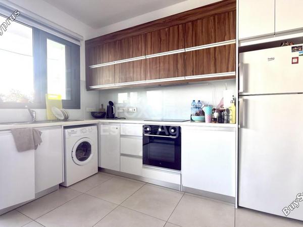 1 bedroom apartment for rent mackenzie larnaca 8804279 image 16781764