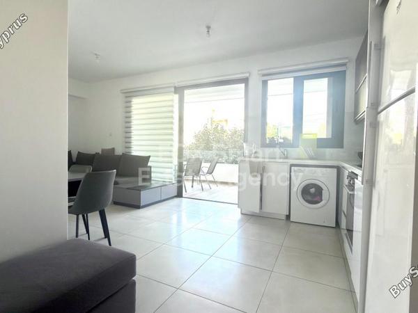 1 bedroom apartment for rent mackenzie larnaca 8804279 image 16781771