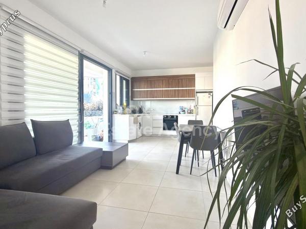 1 bedroom apartment for rent mackenzie larnaca 8804279 image 16781774