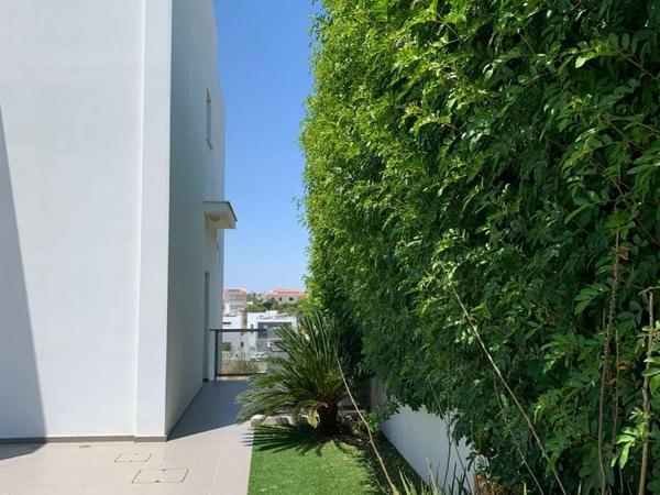 4 bedroom detached house for sale archangelos nicosia 8360279 image 15586274