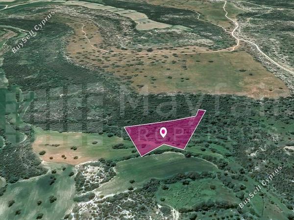 land for sale agios theodoros larnacas larnaca 7872279 image 15714475
