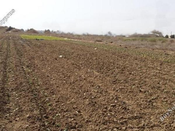 land for sale dromolaxia larnaca 7906279 image 11137065